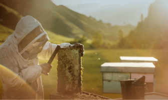 新西兰的“蜜”秘