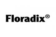 Floradix 铁元 Floradix 铁元