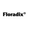 Floradix 铁元